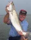 siffordfish